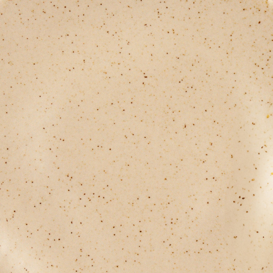 Organic Oval Plate in Earth finish ceramic tableware